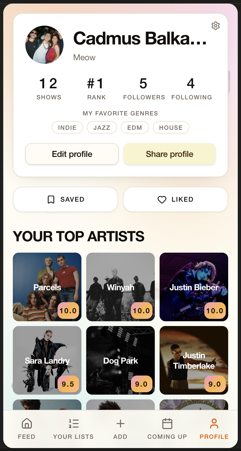 Vibra profile with top artists and stats